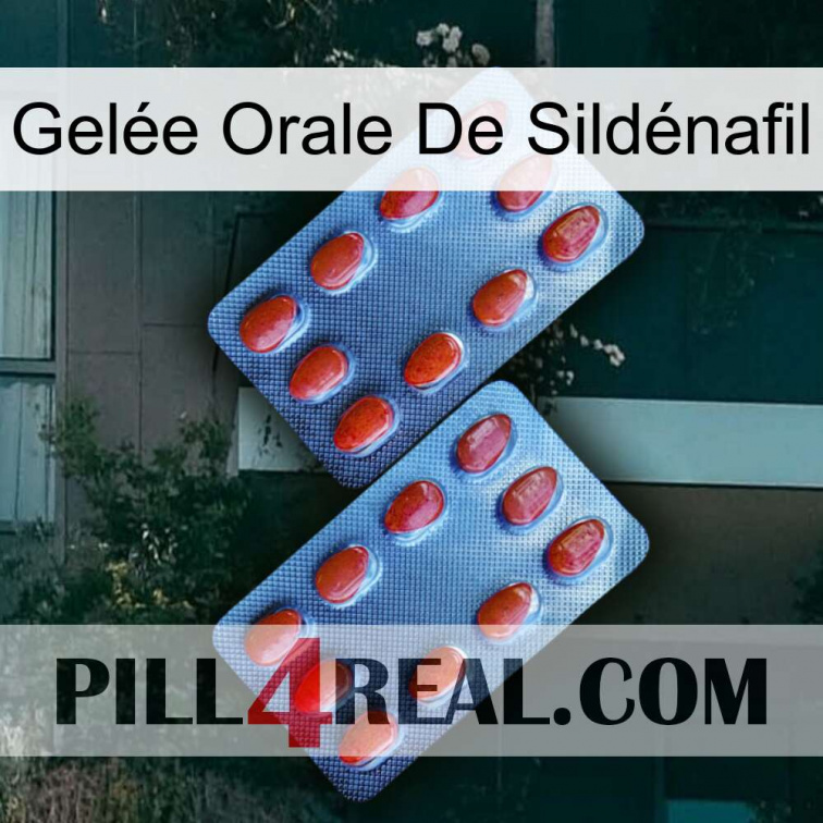Gelée Orale De Sildénafil 05